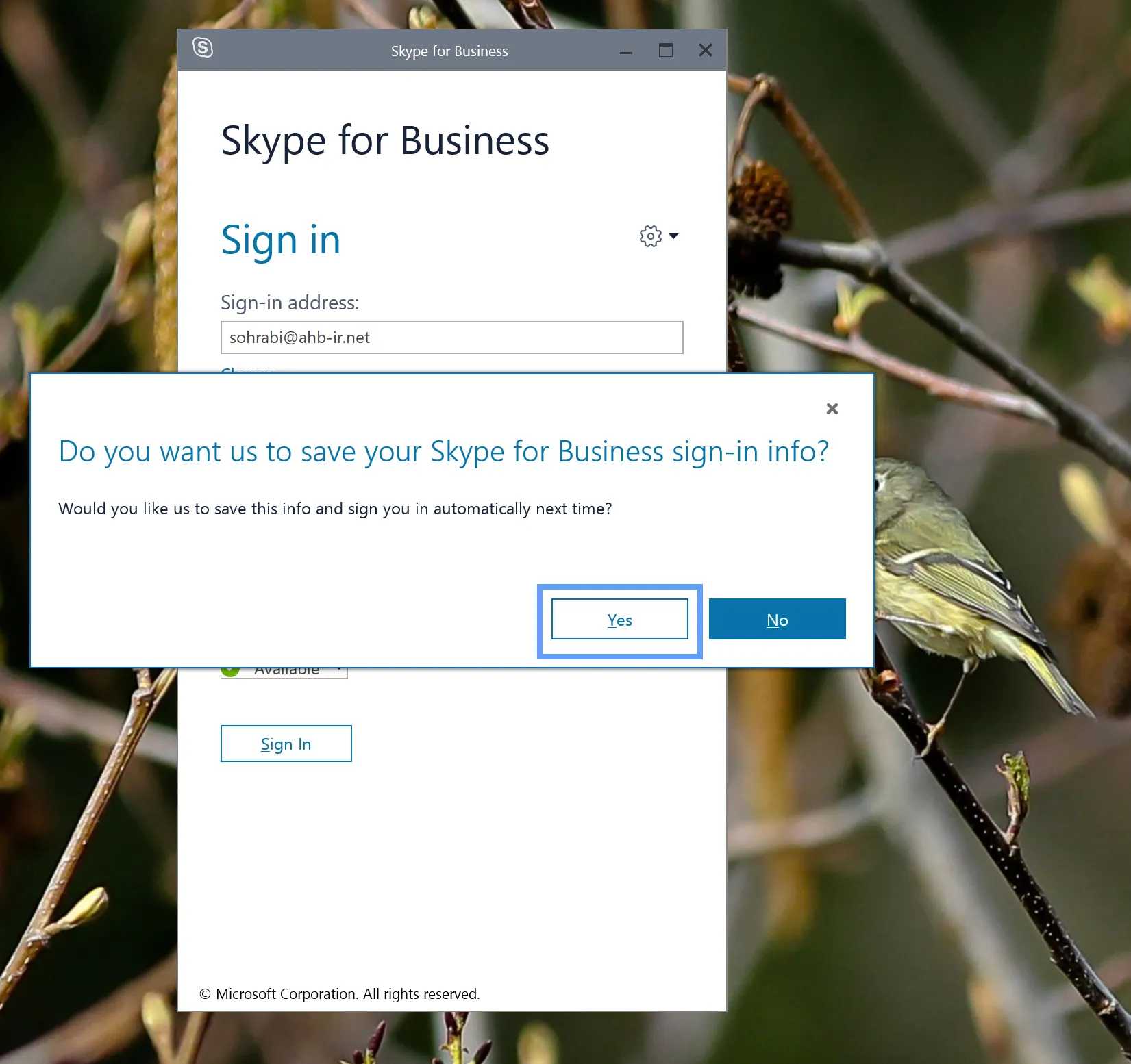 skype for business